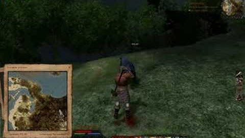 My Bear Shaman on White Sands in Age of Conan