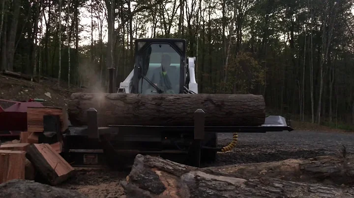 20+ Log VS Halverson Wood Processor HWP-140b