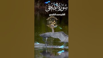 تلاوة خاشعة عطرة مباركة جميلة عذبة للشيخ سعد الغامدي سورة الضحى