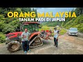 Orang malaysia tanam padi di jepun  travelog jepun ep13