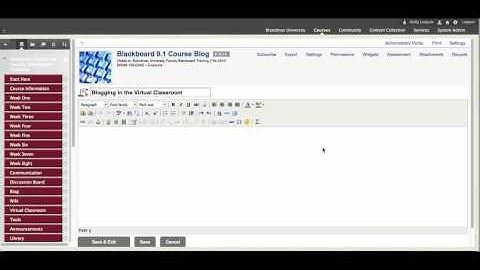 Blogs in Blackboard 9.1 Training