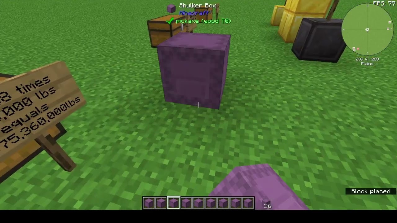 How Much Weight Can Minecraft Steve Carry? 