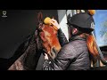 Ode To A Champion | QIPCO British Champions Series