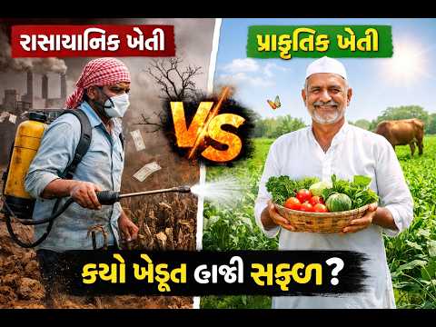 રાસાયણિક ખેતી vs પ્રાકૃતિક ખેતી | બે ખેડૂતની સાચી કહાની | Chemical vs Natural