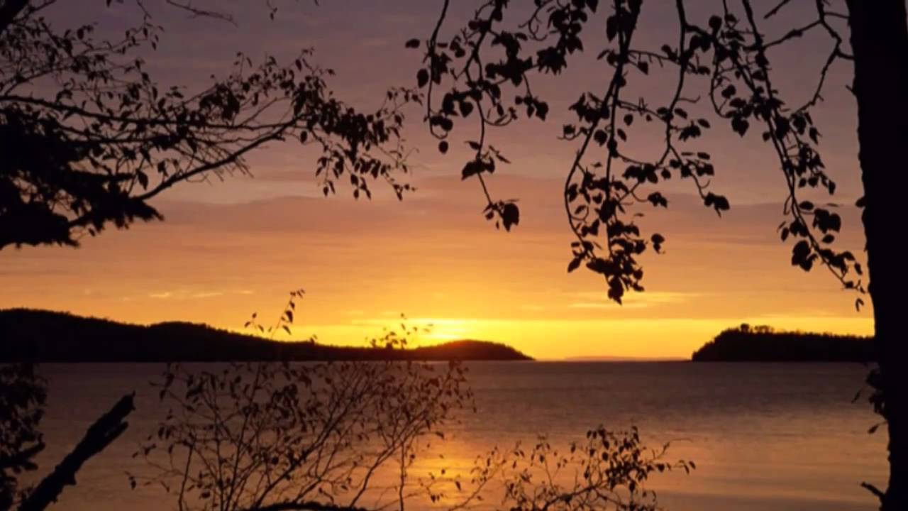 101 Frasi Citazioni E Aforismi Sell Autunno Piu Belli Di Sempre