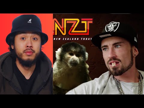 Man Steals Monkey from a Zoo | New Zealand Today  Reaction !!!!!