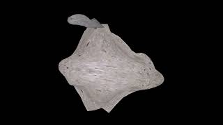 Microbe Touchdesigner 3D example