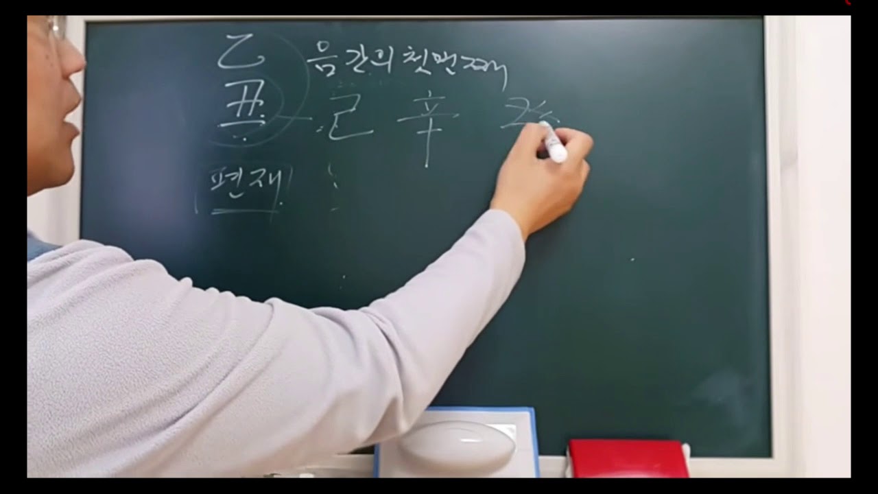 🌱 을축일주 일주론 - 피클의 행복한 명리