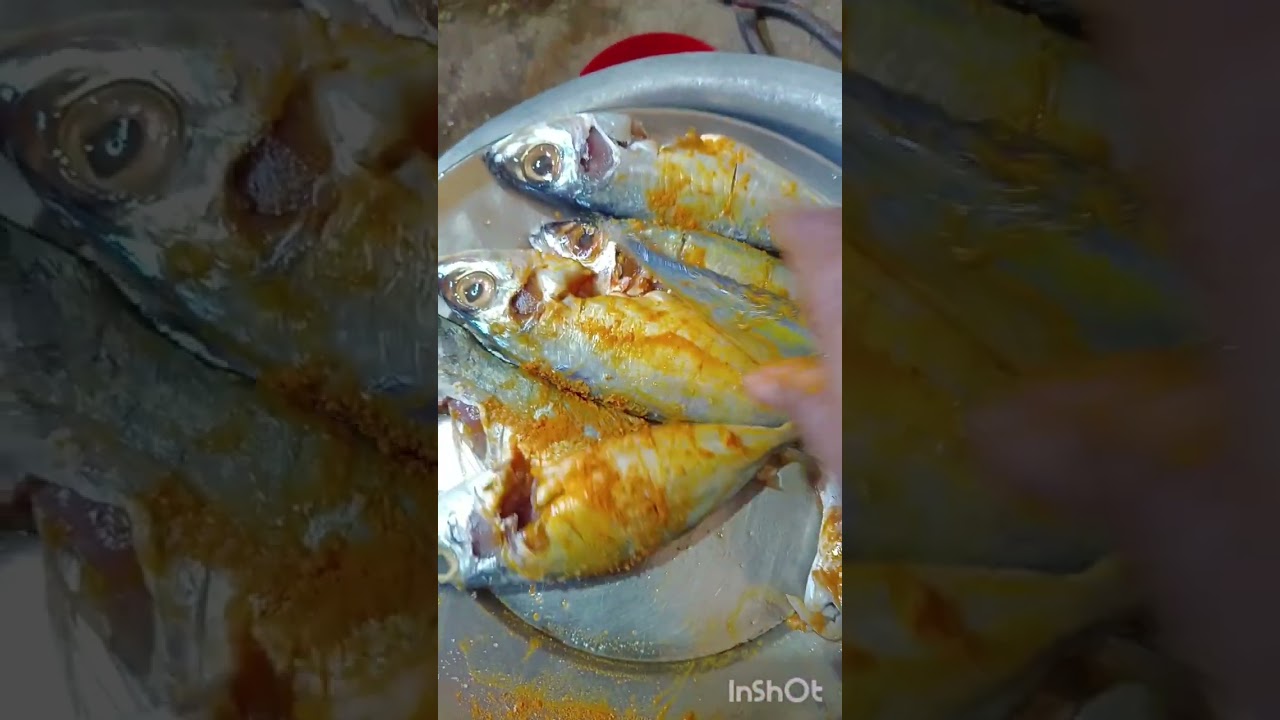 আজকে রান্না করলাম তুলো সেটিং মাছ ভাজা আর হচ্ছে ভাজা। Sihan vlog ❤️❤️❤️❤️❤️.