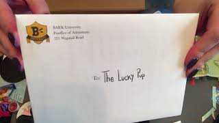 September BarkBox