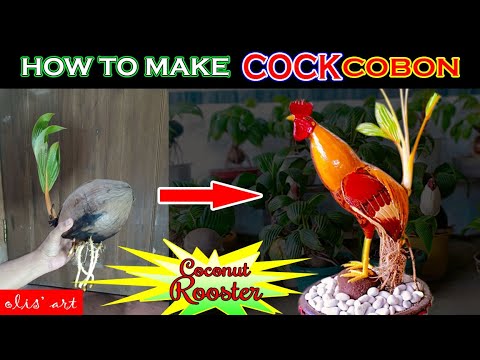 HOW TO MAKE COCO BONSAI ROOSTER | OLIS' ART | COCKCOBON | GOLD ...