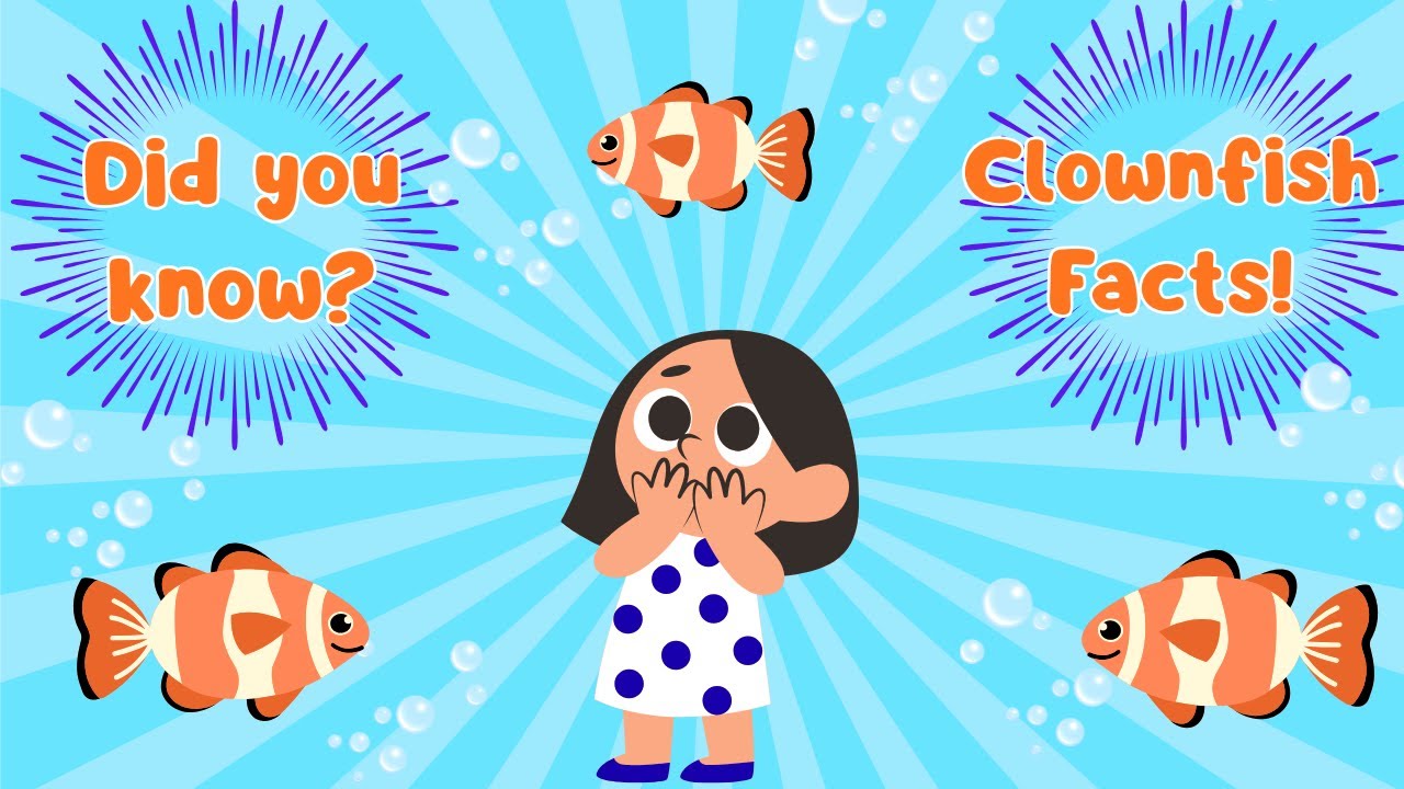 Facts You Never Knew About Clownfish | Fun Ocean Facts for Kids