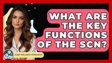 What Are The Key Functions Of The SCN? - Sleep Wellness Workshop