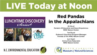 Lunchtime Discovery Series: Red Pandas in the Appalachians