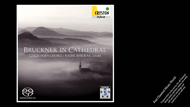 Radek Babork, Czech Horn Chorus plays Bruckner