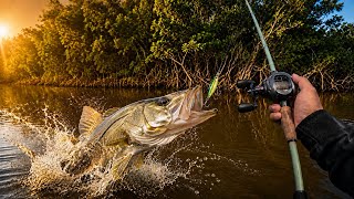 🔥 DO THIS to catch plenty of SNOOK in the Mangroves |Fishing