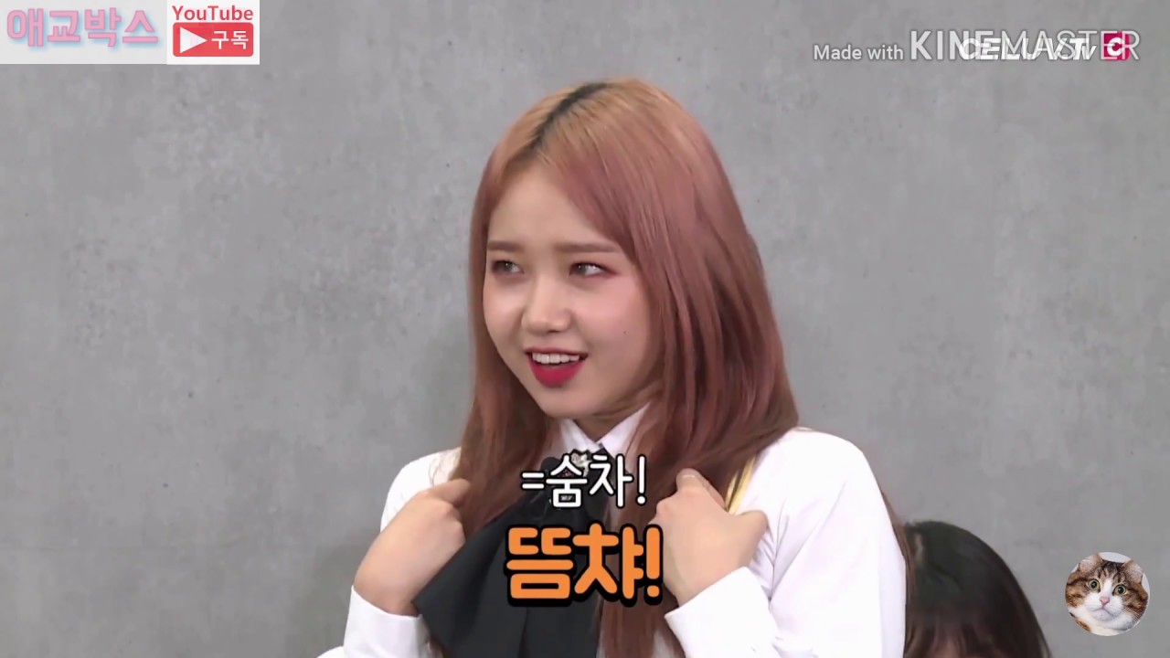 최유정 애교레전드모음 입덕영상 