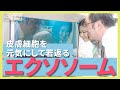 美の未来技術!幹細胞とエクソソームで実現する究極のスキンケア|#03 九州大学 片倉喜範先生