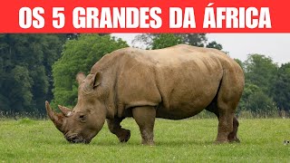 Animais da África   Características, curiosidades e fotos by Pet Feliz a Vida Secreta dos Bichos No views 9 minutes, 13 seconds