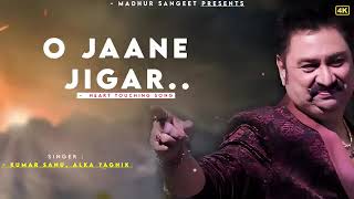 O Jaane Jigar - Kumar Sanu | Alka Yagnik | Yeh Hai Jalwa | Kumar Sanu Hits movie song