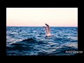 صوت البحر نصف ساعة من الهدوء والاسترخاء 