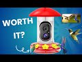 Capture Nature: Hummingbird Feeder with 2K Camera – Live View & AI Bird Identification!