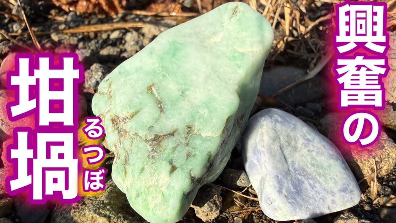 ジャッカルとチップさんの翡翠探し⭐️すごい翡翠と出会えて興奮の坩堝と化しました