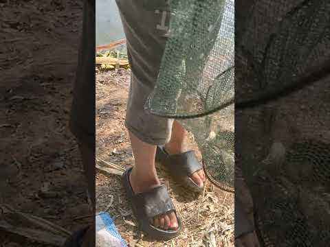 اصدت شويه سمك لوز اللوز أنا هشتغل صياده واسيب مجال اللبس لقيت نفسي في الصياده