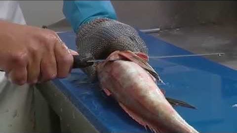 How to Fillet & Skin: Gurnard, Sole & Rig - Tips and Techniques by Knifetechnz