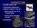 Sonography of the Liver