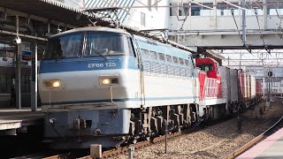 (警笛を鳴らして高速通過!!)EF66 125+DD200-16 2077レ 西明石駅通過 2025.1