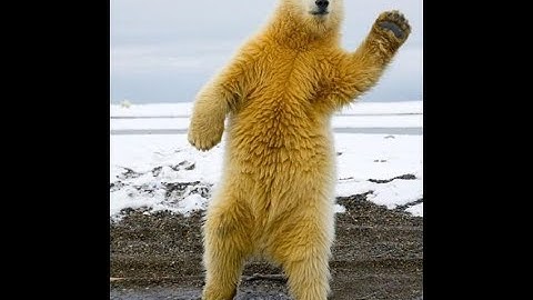 GCSE Physics - Online Lesson 8 - CP4  Waves