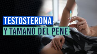 Testosterona Para Aumentar El Tamaño Del Pene ¿Es Posible?