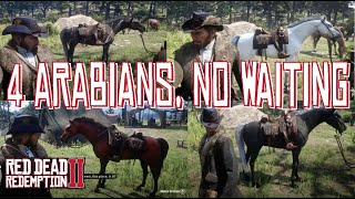How to Get Arthur 4 Elite Arabians in Chapter 2 Red Dead Redemption 2