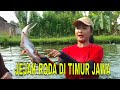  full jejak roda di timur jawa  jejak petualang  140124