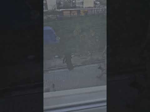 Yalova’da IŞİD operasyonunda çatışma! 3 polis şehit oldu, olay yerinden sıcak görüntüler! #shorts