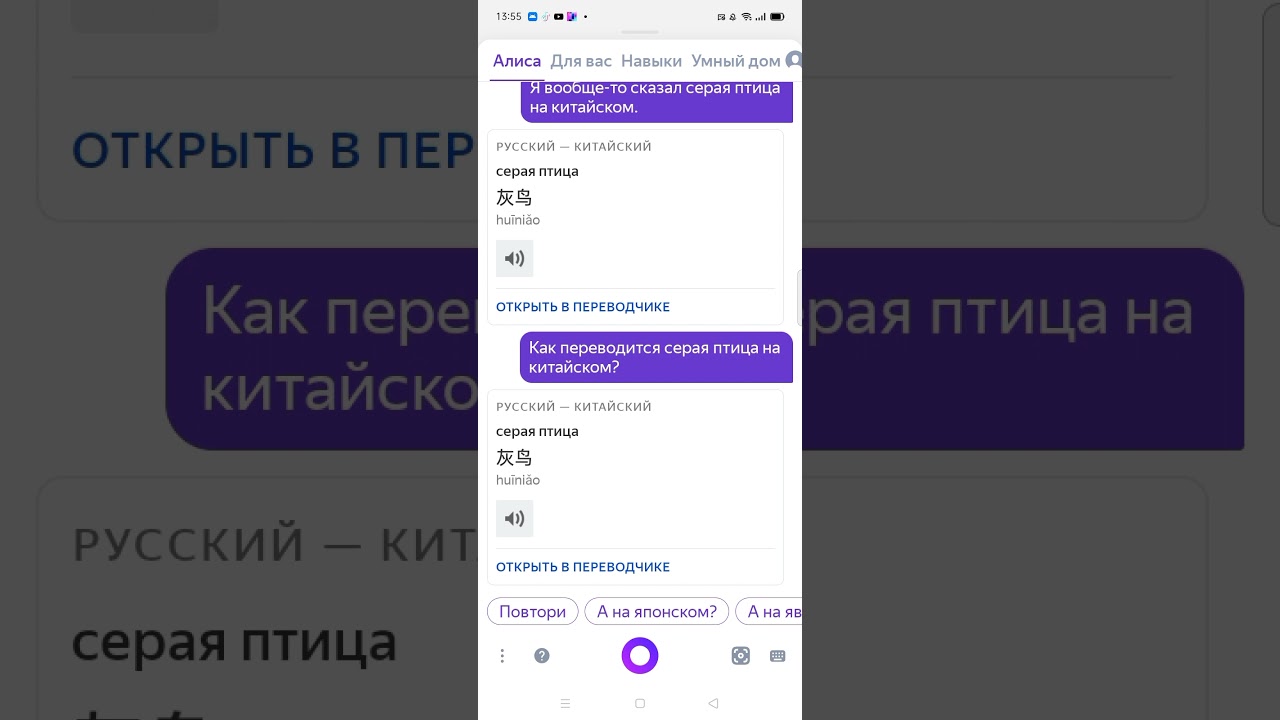 Алиса переведи на китайский серая птичка
