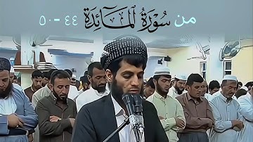 تلاوة جميلة ما تيسر من سورة المائدة | القارئ رعد بن محمد الكردي