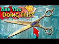 Dog grooming Scissor maintenance at home instructional video