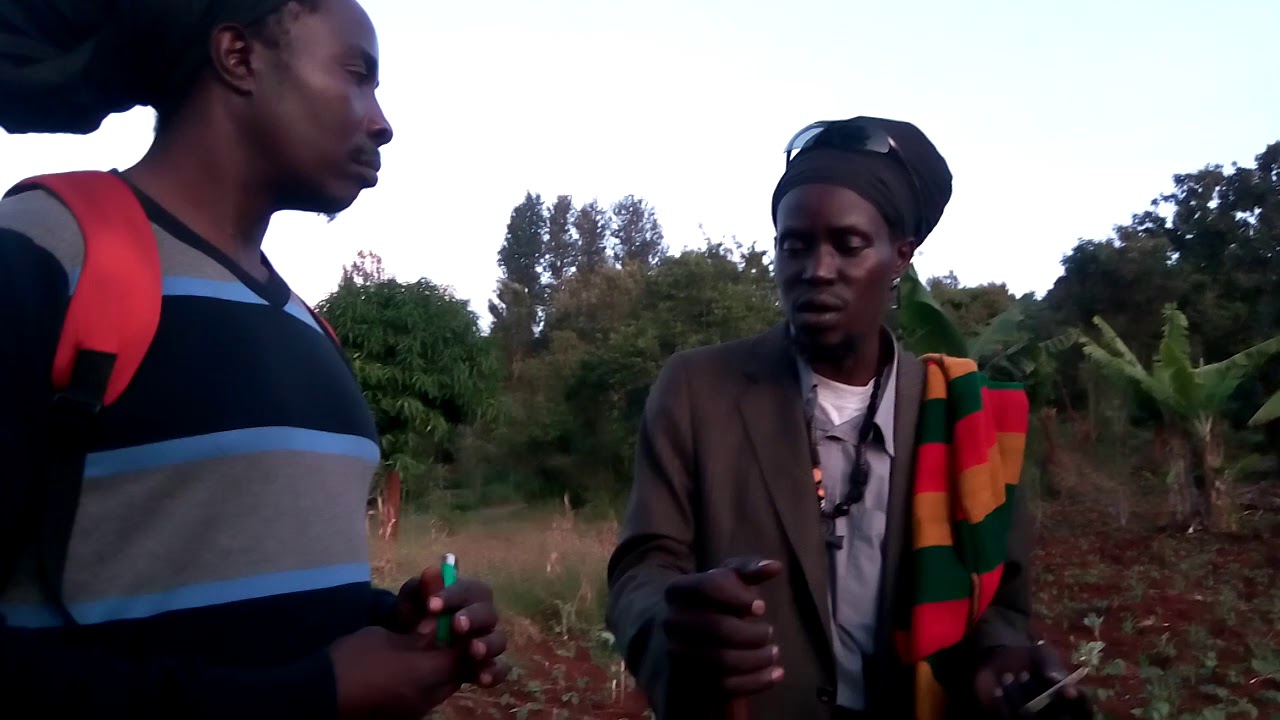 rastaman reasoning at roots