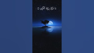#اكسبلور #المصحف #قرآن #راحة_نفسية #قران_كريم #quran #المنشاوي #تلاوة_خاشعة