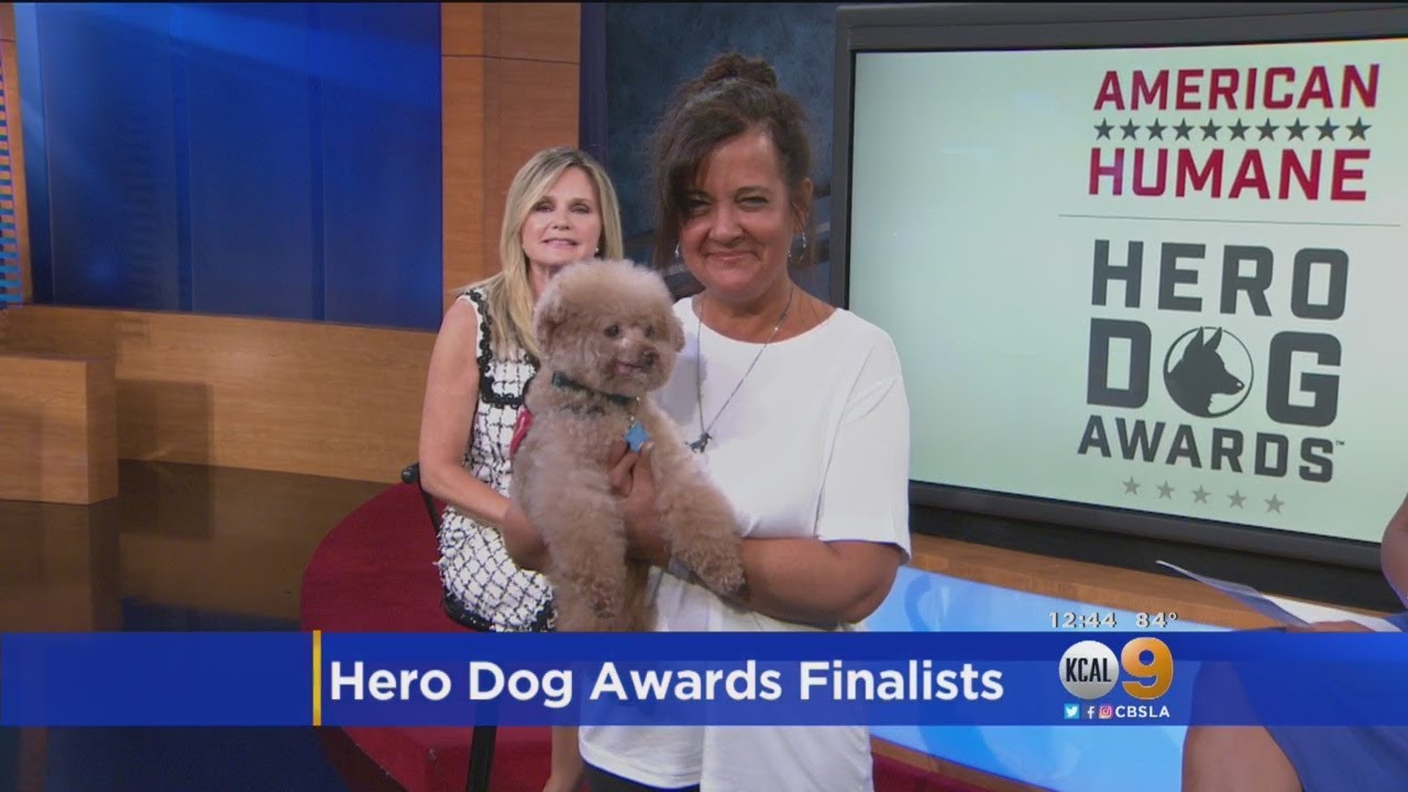 Eighth Annual Hero Dog Awards In Beverly Hills