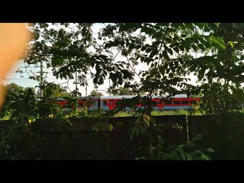Vibes🦋 | Margao Goa | Under the trees | And rest in the sound | ☺💓🍃 | Vlog