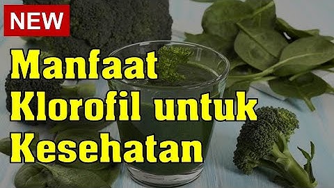 Manfaat Klorofil untuk Kesehatan