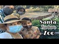 Santa Barbara Zoo &amp; Cumple de Sofía #4