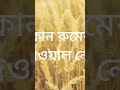 তিনটি ধাঁধা