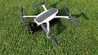 Drone, feeding and tiger roar in the face!