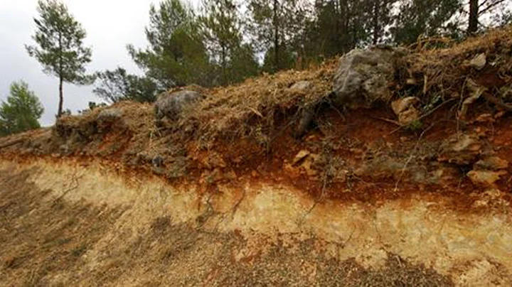 What is SOIL SCIENCE?