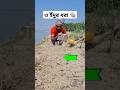 খাঁচায় ইঁদুর ধরার টেকনিক agriculture #survival #viralvideo #villagelife