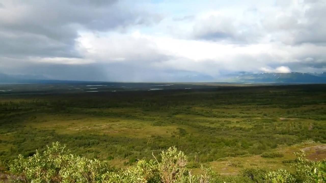 Camping off the Denali Highway